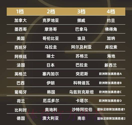 世界杯排名入口